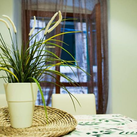 Apartman Flower Sibenik Exterior photo