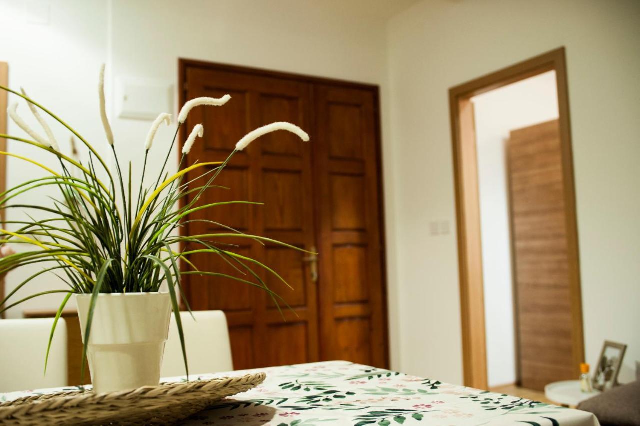 Apartman Flower Sibenik Exterior photo